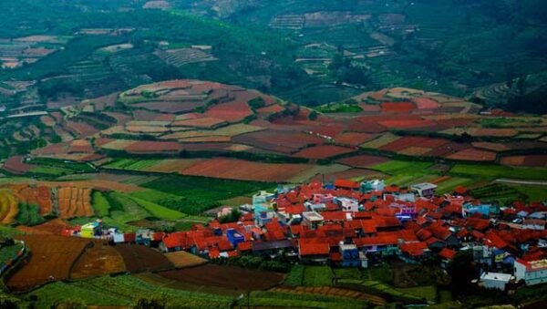 Kodaikanal Thekkady Holidays - Image 2